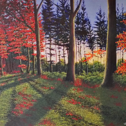 Paysages / Nature